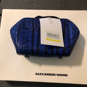 Alexander wang chasity clutch blue nile